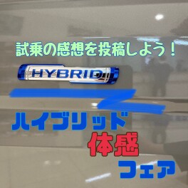 【！フェア情報！】